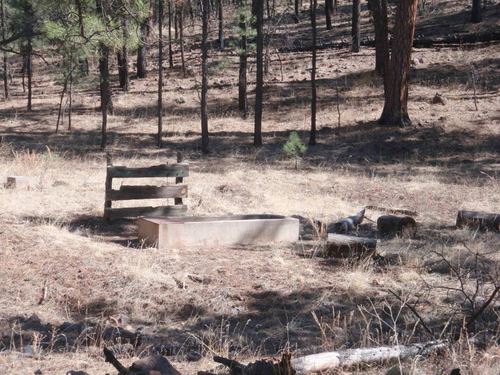 A not so old water trough.